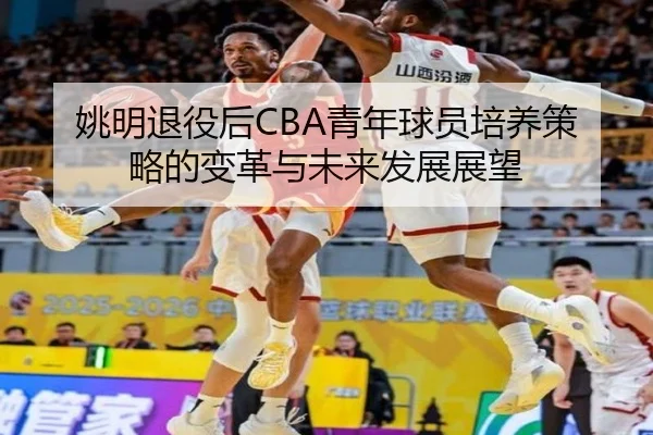 yao-ming-tui-yi-hou-qing-nian-qiu-yuan-pei-yang-ce-lve-de-bian-ge-yu-wei-lai-fa-zhan-zhan-wang-2-616.jpg