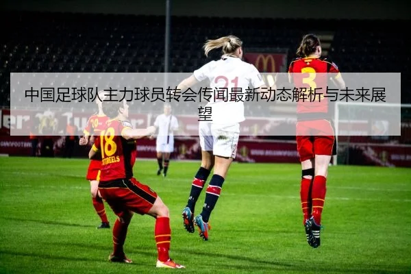 中国足球队主力球员转会传闻最新动态解析与未来展望